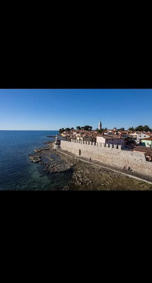 Novigrad IstriaAlina Centarアパートメント