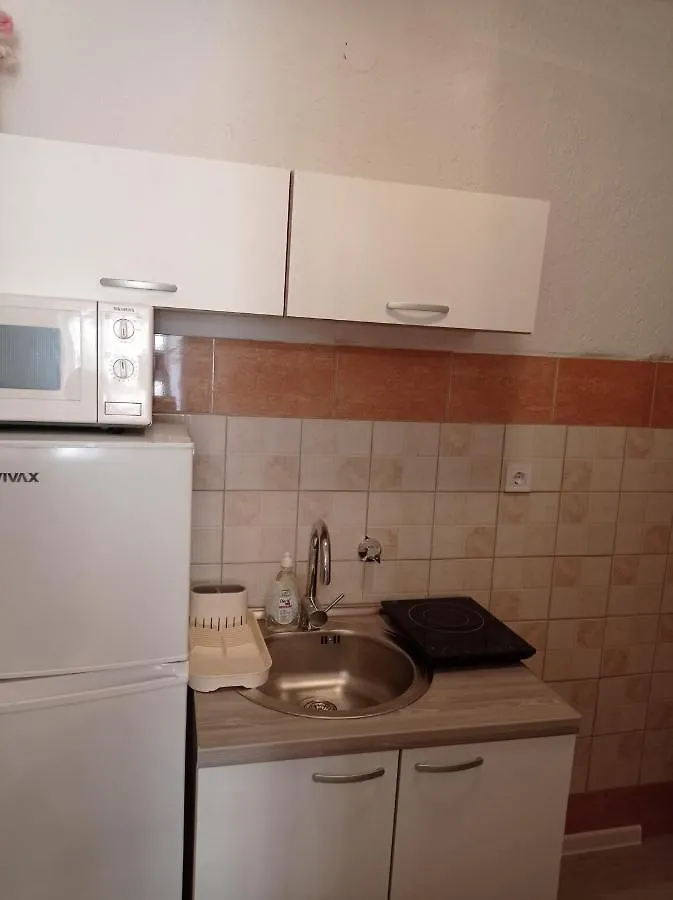 Alina Centar Apartman Novigrad (Istria)